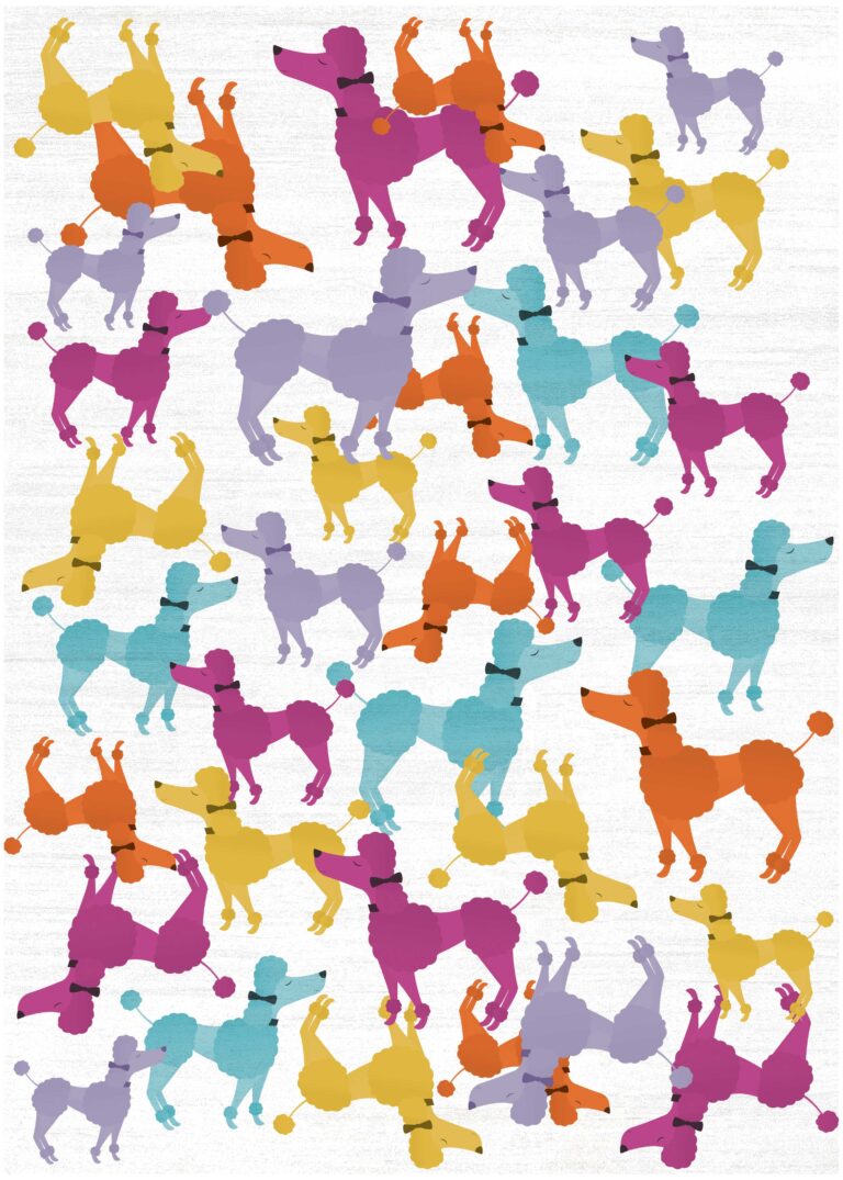 40-WCR-IMA20-IVORY-MULTICOLOR